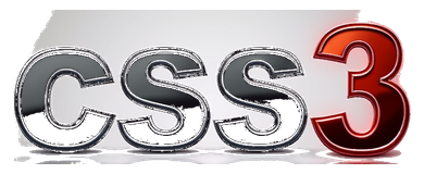 css3 logo